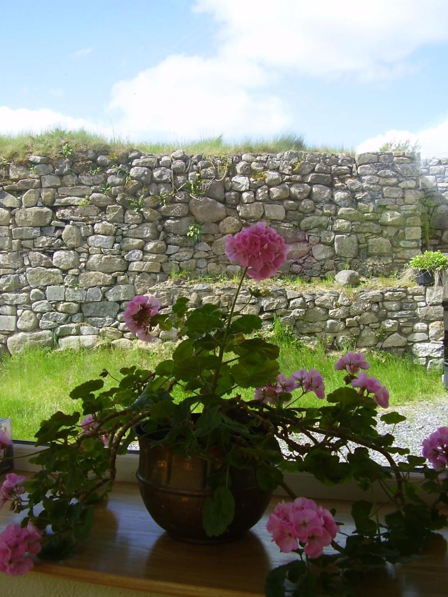 Glenboy Country Accommodation Oldcastle Extérieur photo