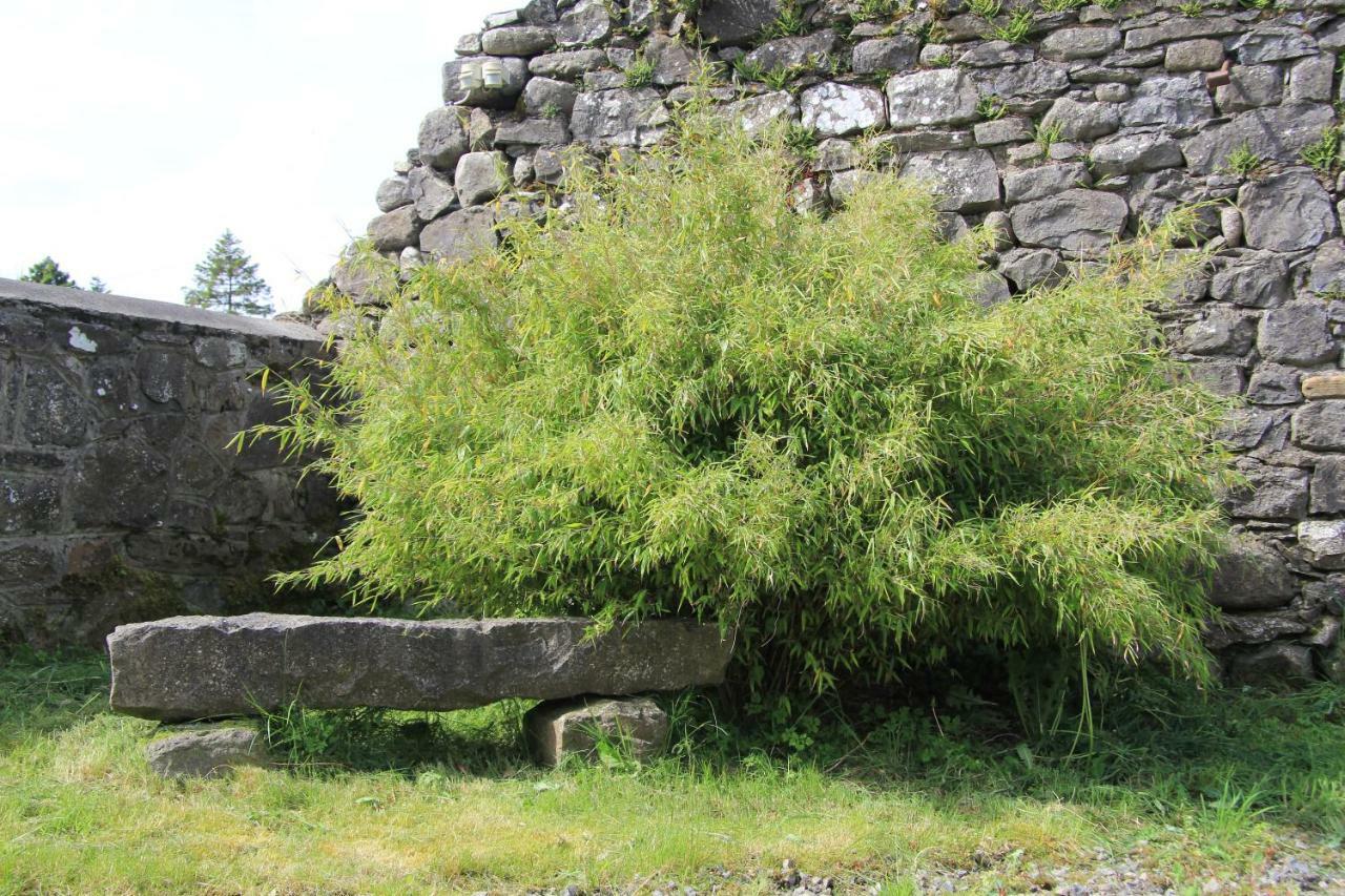 Glenboy Country Accommodation Oldcastle Extérieur photo